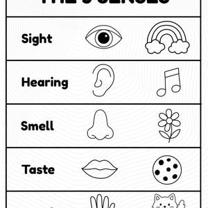 The 5 Senses Worksheet | Preschool Coloring Activity | Printable Learning for Kids