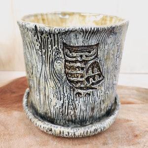 May include: A ceramic planter with a textured, wood-grain design and a detailed owl emblem. The planter is light brown and gray, with a matching saucer. The owl is a darker brown color.