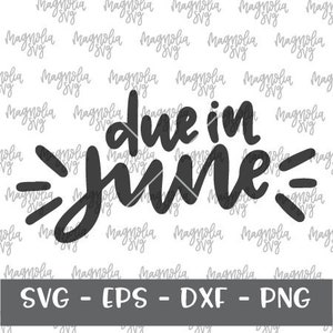 Due in June SVG, Baby Announcement SVG, Due Date Shirt SVG, Baby Shower Gift svg file, Baby Announcement Shirt
