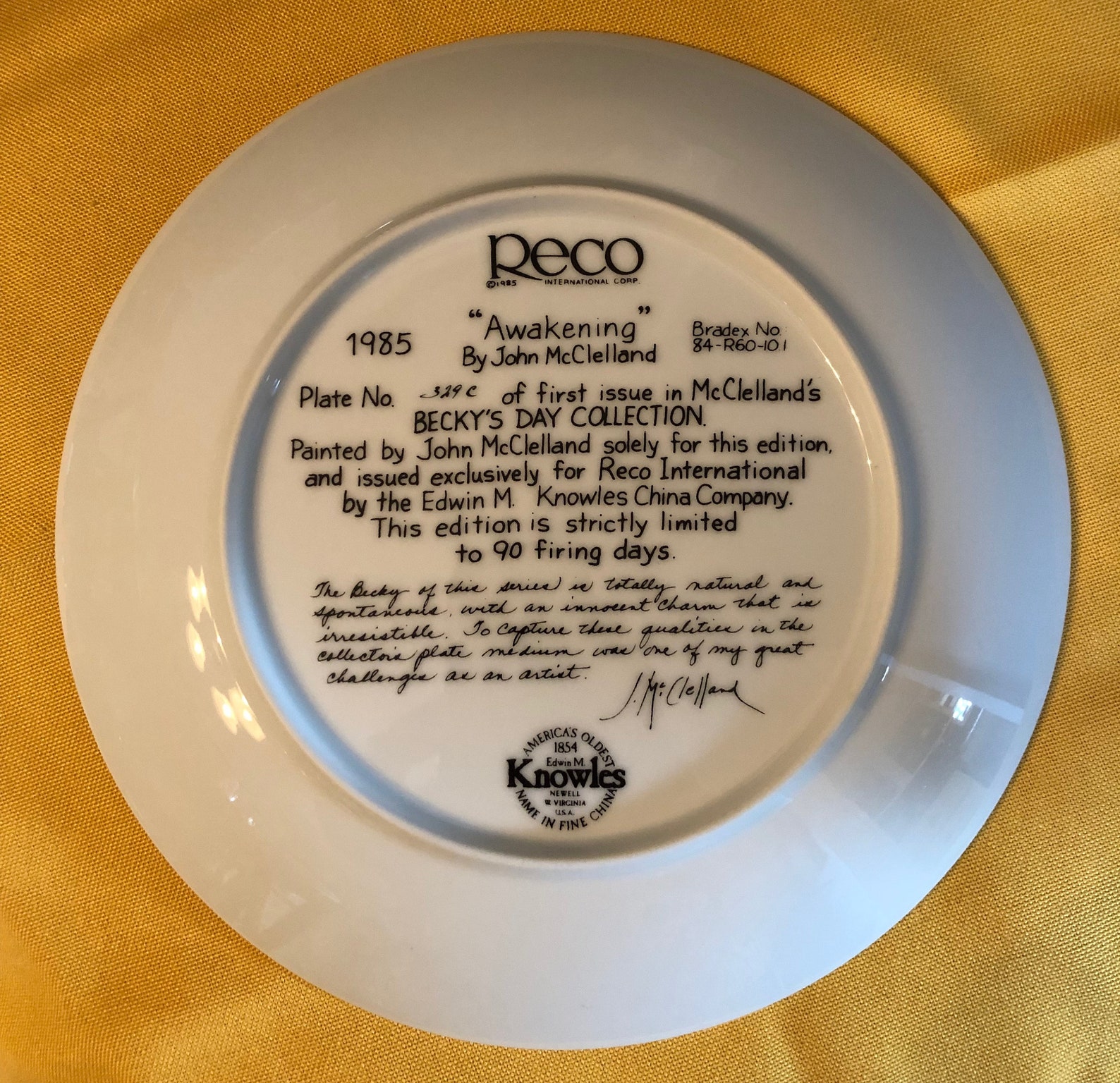 Knowles Fine China awakening 1985 the First Issue Etsy