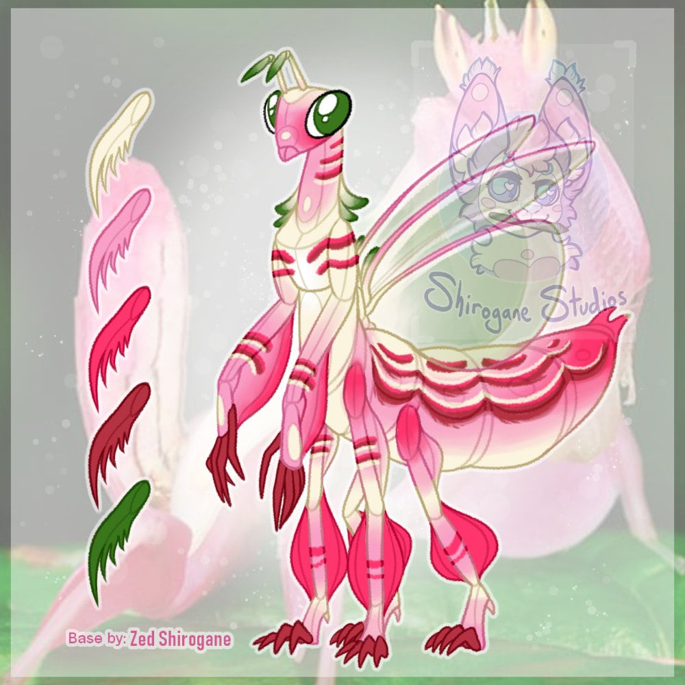 Orchid Mantis Adopt - Etsy