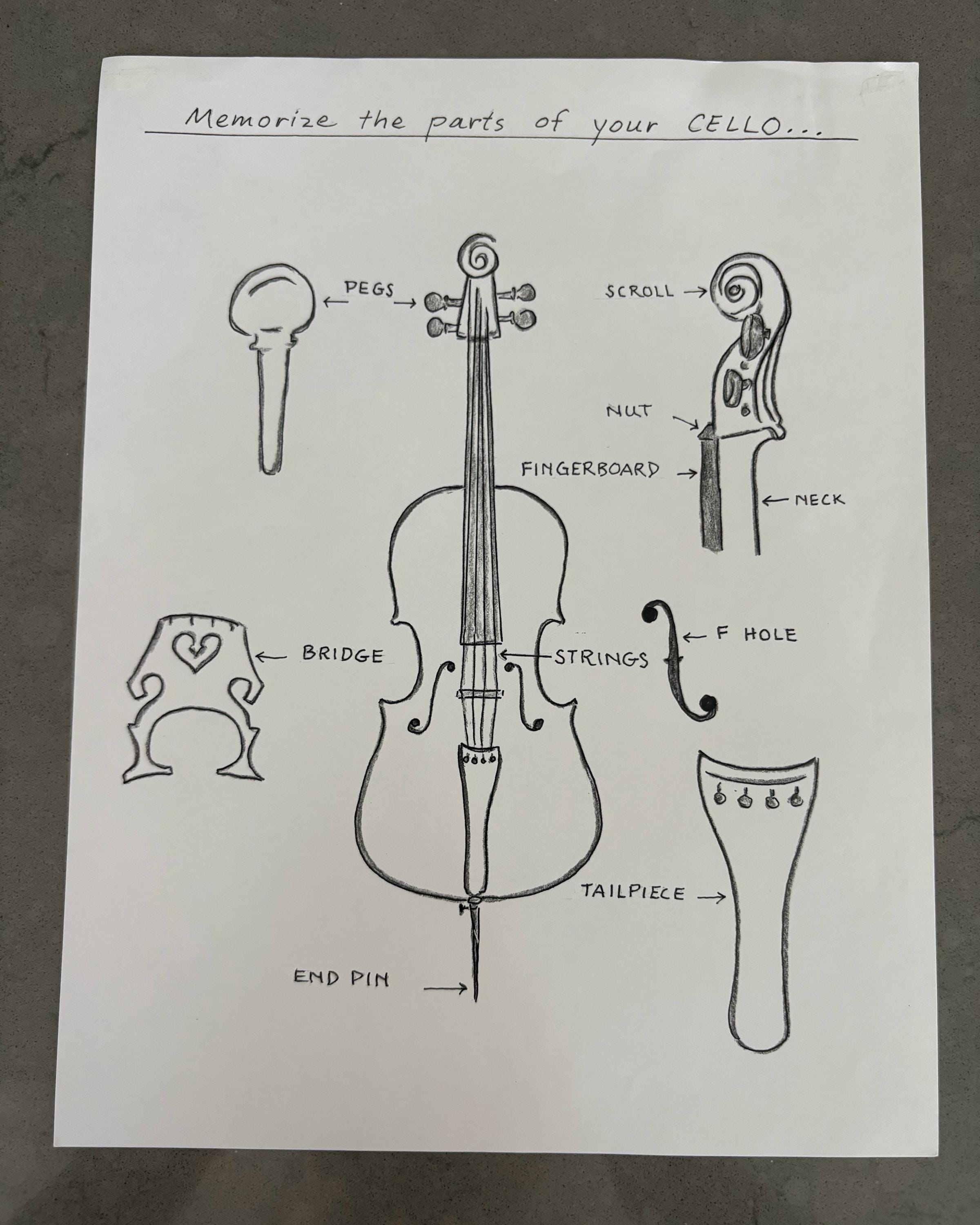 Cello Partds Parts of the Cello Printable - Etsy