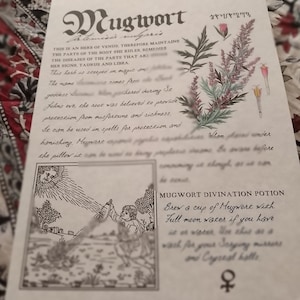 Pode incluir: Uma ilustração de estilo vintage de artemísia, uma erva associada a Vênus, Touro e Libra. O texto descreve seu uso na magia e em feitiços para proteção e banimento. A ilustração inclui uma receita de poção de adivinhação de artemísia.