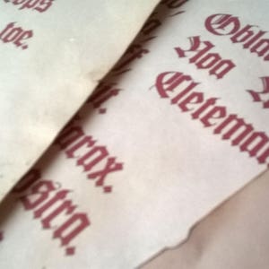 Hocus Replica Spellbook pages DIY Halloween Craft