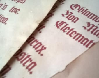 Hocus Replica Spellbook pages DIY Halloween Craft
