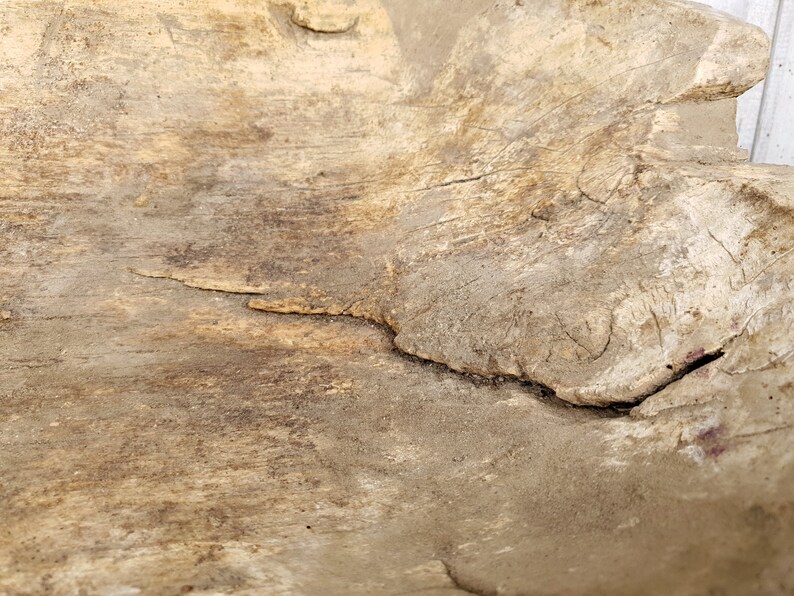 K&ouml;nnte beinhalten: Nahaufnahme einer verwitterten Holzschale mit einem Riss, der durch den Boden verl&auml;uft. Die Schale ist hellbraun und hat eine raue Textur.