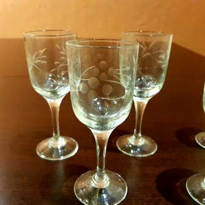 Puede incluir: Juego de cuatro vasos de chupito de vidrio transparente con diseños de uvas grabados. Los vasos tienen un tallo delicado y una base redonda.