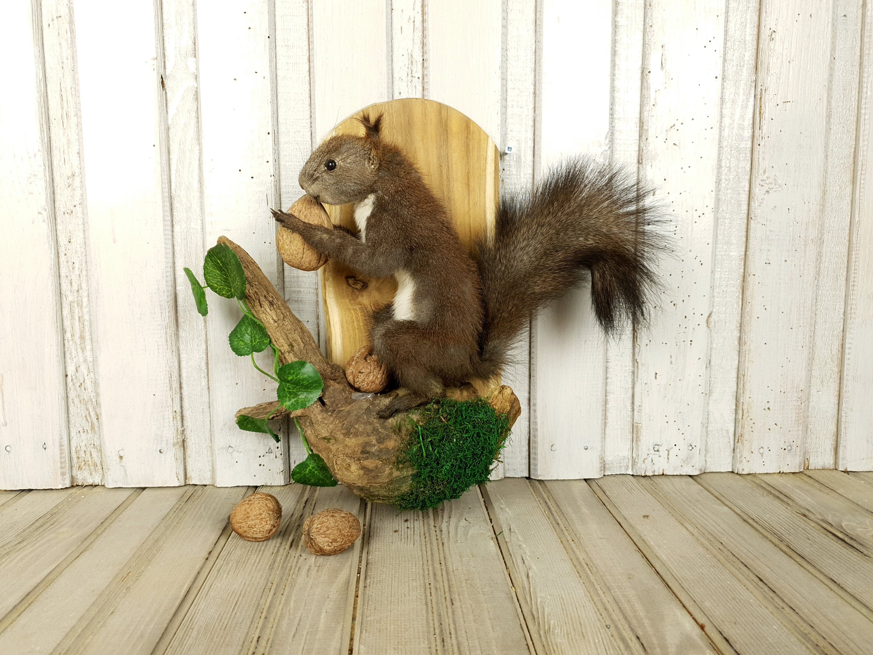 stuffed squirrel for sale