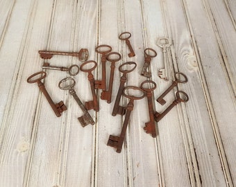 Conjunto de 10 Chaves Esqueléticas Vintage: Coleção de Chaves de Metal Antigas