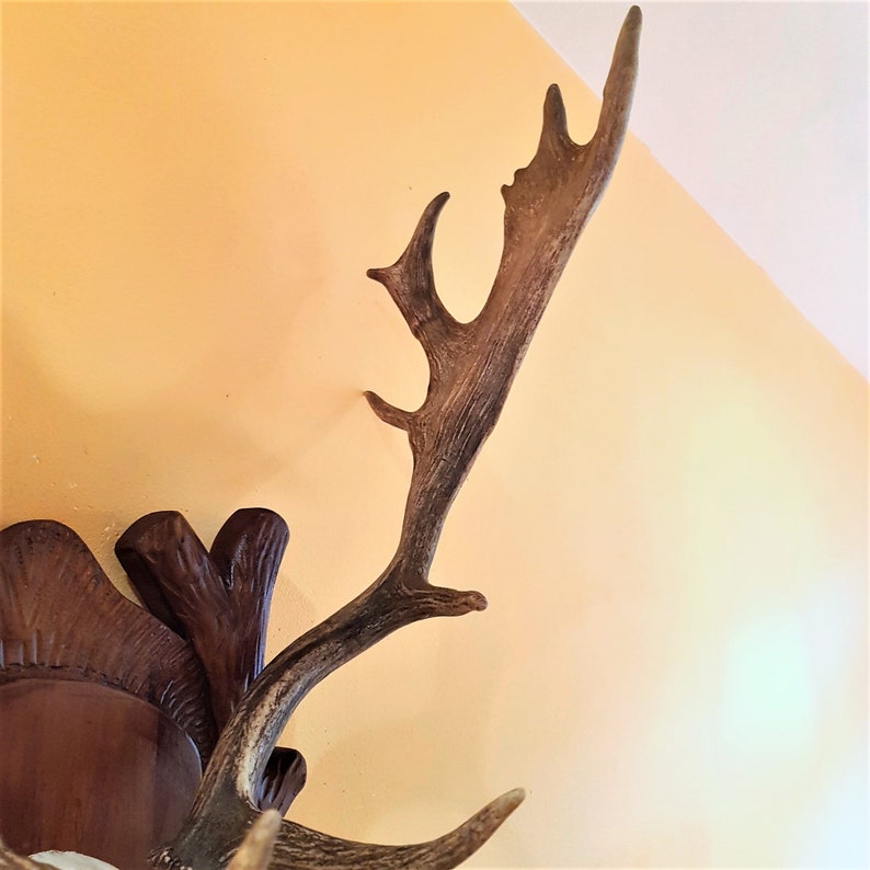 Big Hunting Trophy Mounted Horns Vintage Deer Horns Natural Etsy Australia