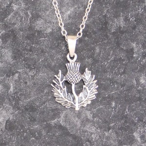May include: A silver necklace with a thistle pendant. The pendant is detailed with a stylized thistle flower and leaves.