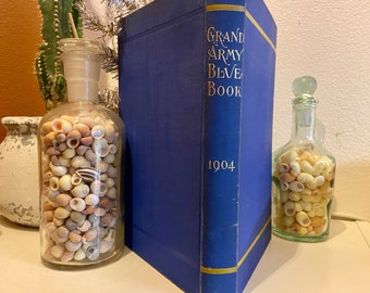 El Gran Libro Azul del Ejército; 1904; Libro antiguo coleccionable; Coleccionable militar de EE. UU.; Antigüedad coleccionable del ejército; Raro y hermoso