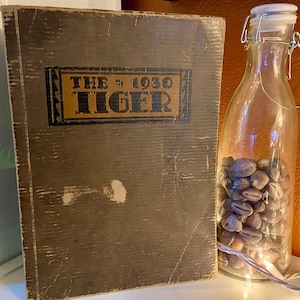 The 1930 Tiger South High School; Minneapolis, Minnesota; 1930 School Year Book; American High School History Book; High School Memorabilia