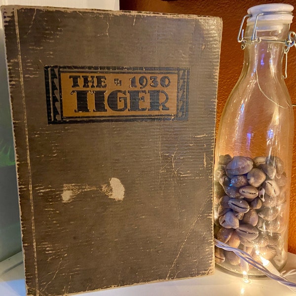 The 1930 Tiger South High School; Minneapolis, Minnesota; 1930 School Year Book; American High School History Book; High School Memorabilia