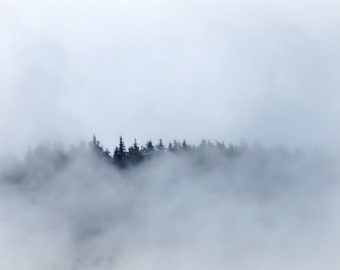 Photo Prints: Photo of Trees in the Fog (British Columbia, Canada) - Wall Art/Photo Print Available in Multiple Sizes