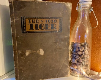 The 1930 Tiger South High School; Minneapolis, Minnesota; 1930 School Year Book; American High School History Book; High School Memorabilia