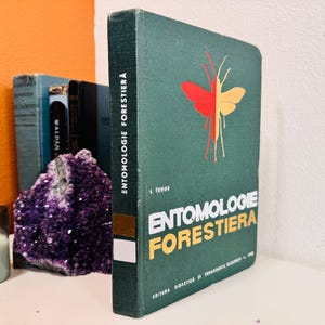 Puede incluir: Un libro verde titulado "ENTOMOLOGIE FORESTIERA" con una ilustración de mariposa roja y amarilla. Otros libros, una geoda púrpura y una vela están en el fondo. El lomo del libro dice "ENTOMOLOGIE FORESTIERA".