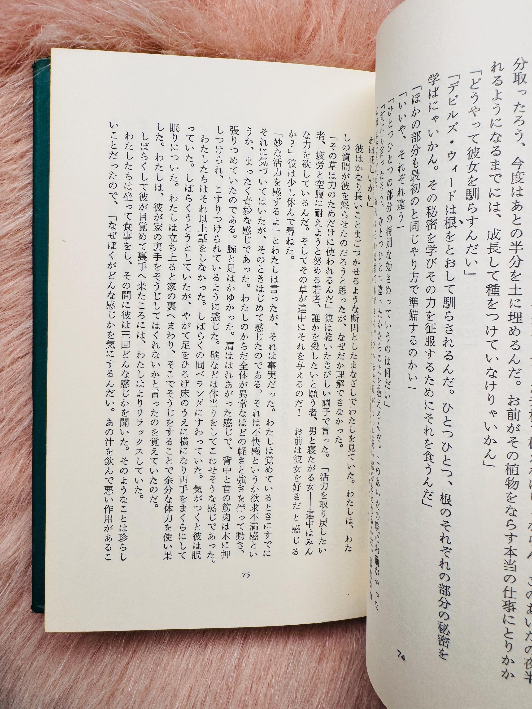 1968年ヴィンテージ ドン・ファンの日本語教育本 - Etsy 日本
