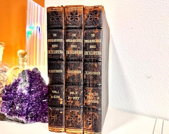 1912年、聖書百科事典。聖書辞書、フルクラン ヴィグルー、5 巻、10 冊