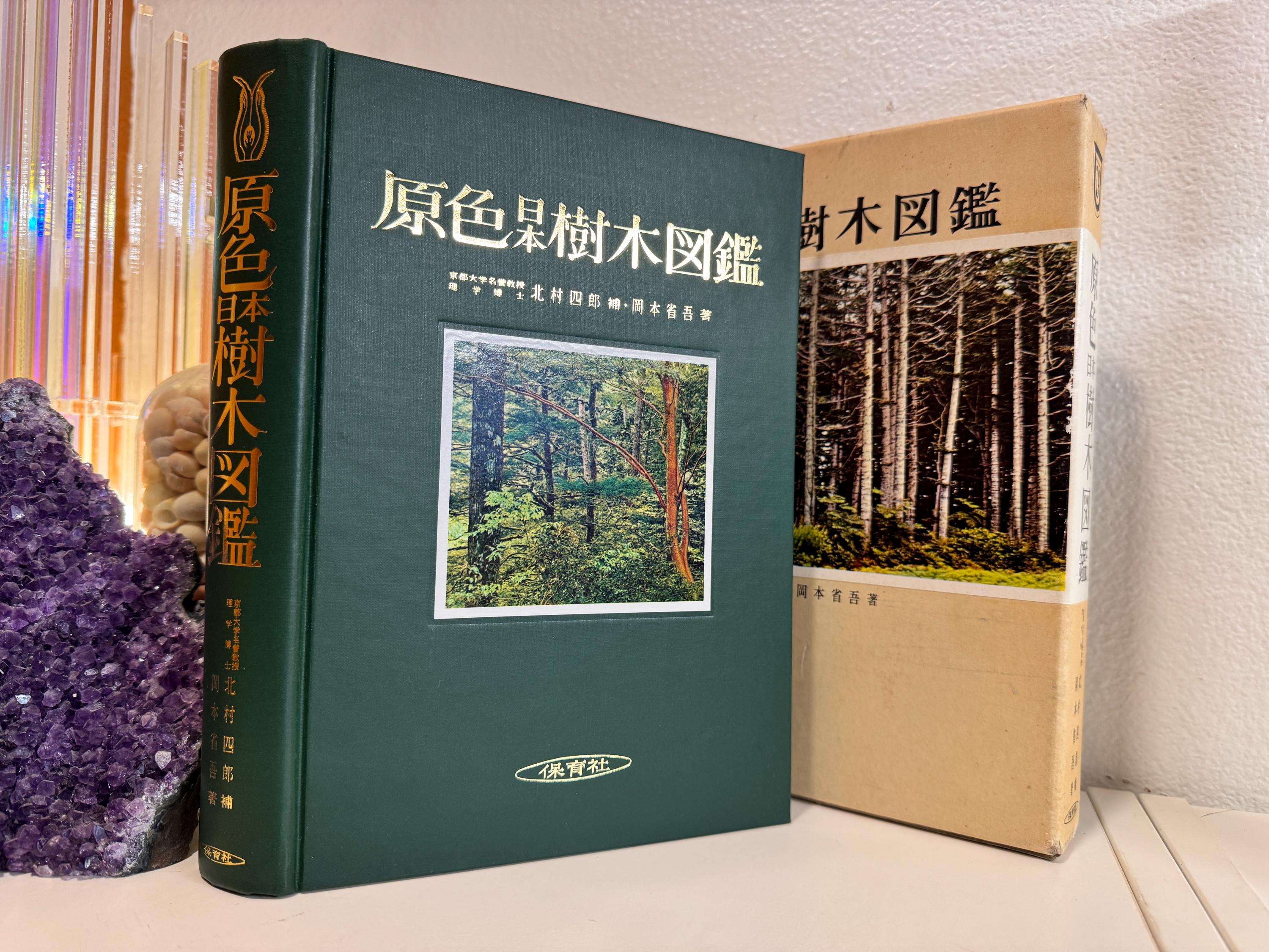 Vintage Japanese Language Books - Etsy