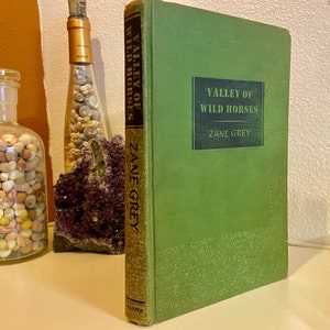 Wild West America, Valley of Wild Horses by Zane Grey, FIRST EDITION, 1927, Collectible Vintage Novel of Old West, Beautiful Antique Book
