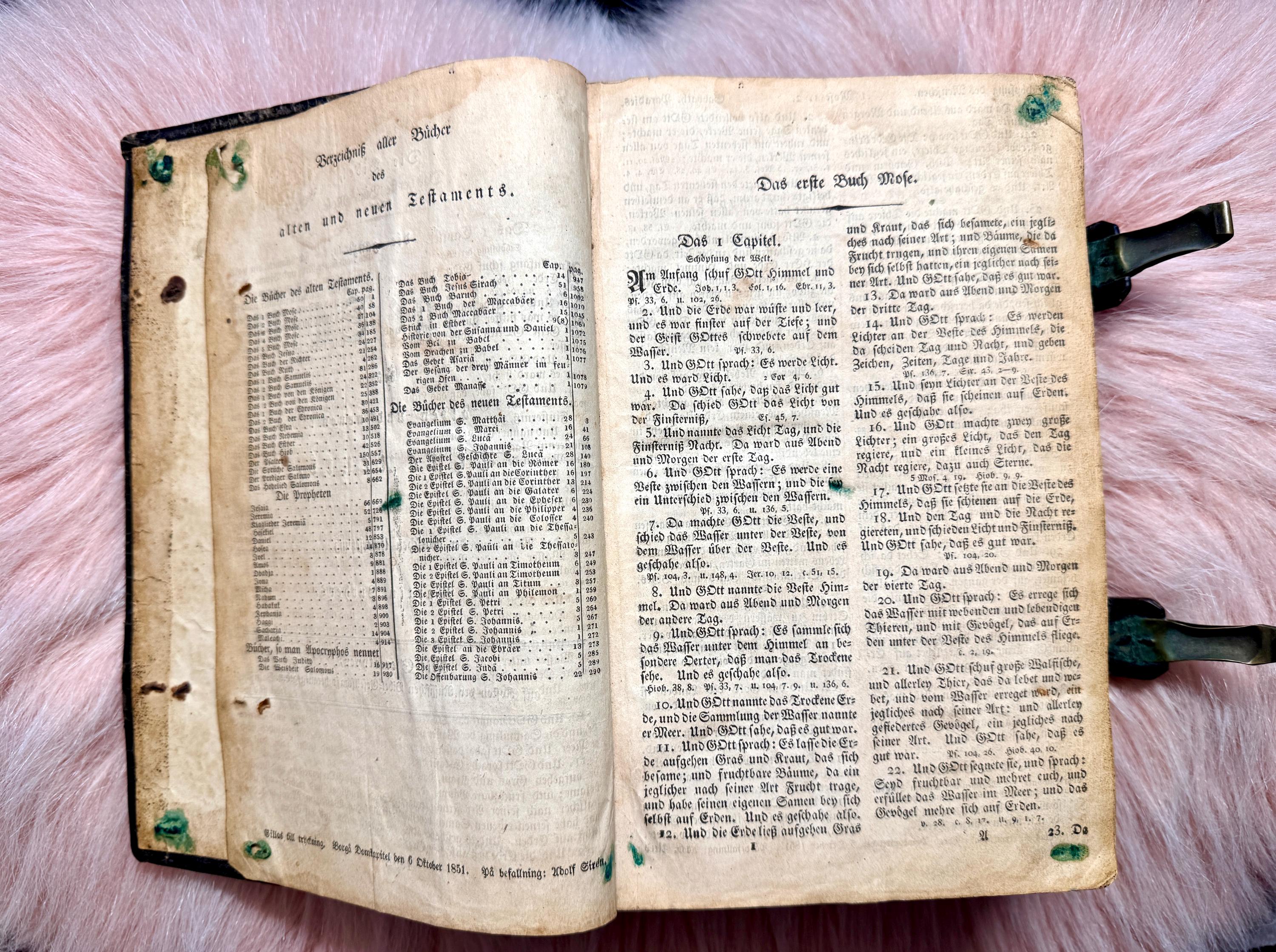 希少なアンティーク 1851 年版ドイツ語聖書。オリジナルの装丁と革
