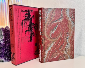 Japanese Language Book-Gothic Horror & Romanticism: Isabella of Egypt by von Arnim, 1975 Vintage 1st Edition, Stunning Collectible Book