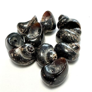 May include: A collection of dark brown, polished stone beads with a glossy finish. Each bead has a unique shape, some with holes, and a speckled pattern. The beads are arranged on a white surface.