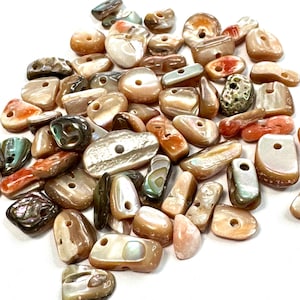 May include: A collection of assorted shell beads with a hole drilled through each bead. The beads are in various shapes and sizes, with a mix of brown, beige, and orange colors. The beads have a natural, iridescent sheen.