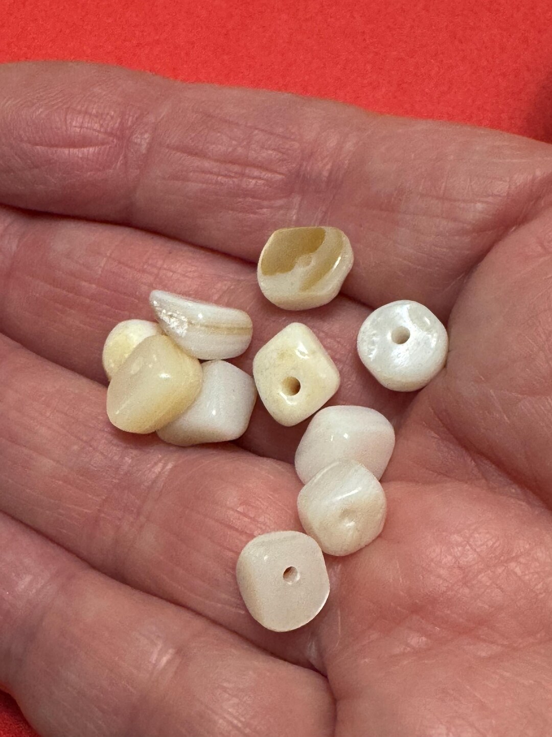 White Polished Shell Beads, Chips 100 Piece VG123CR - Etsy