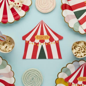 16 Circus Party Napkins, Circus Theme Birthday Party, Paper Napkins, Carnival Party, Circus Party Decorations, Circus Party Supplies