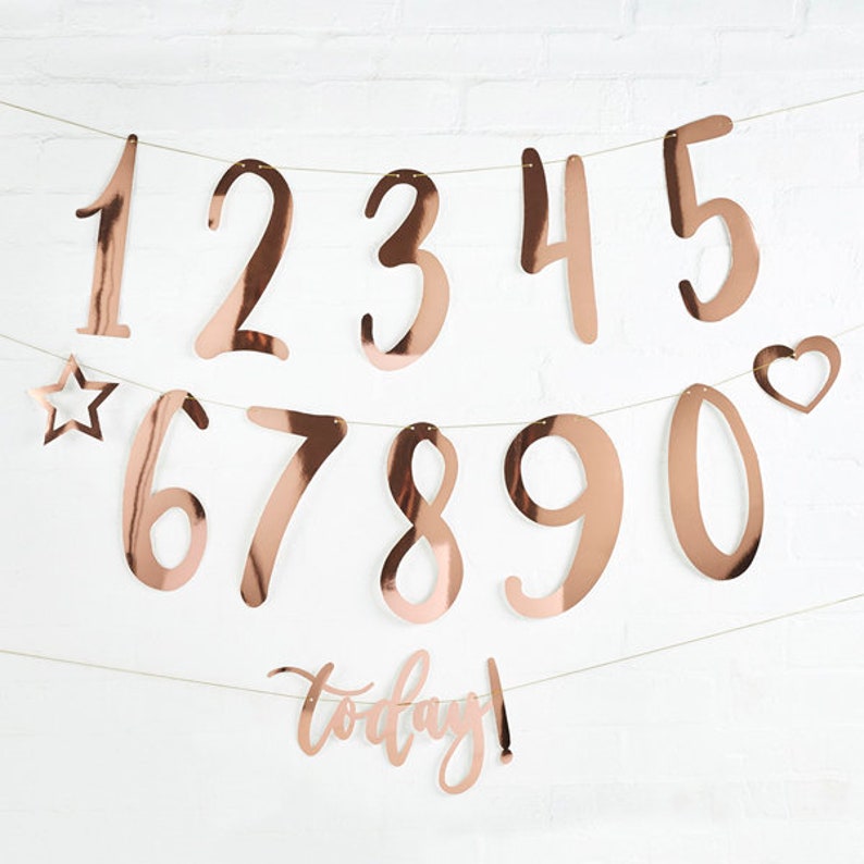 5 Rose Gold and Grey Pom Poms New Baby Party Paper Pom Poms Etsy UK