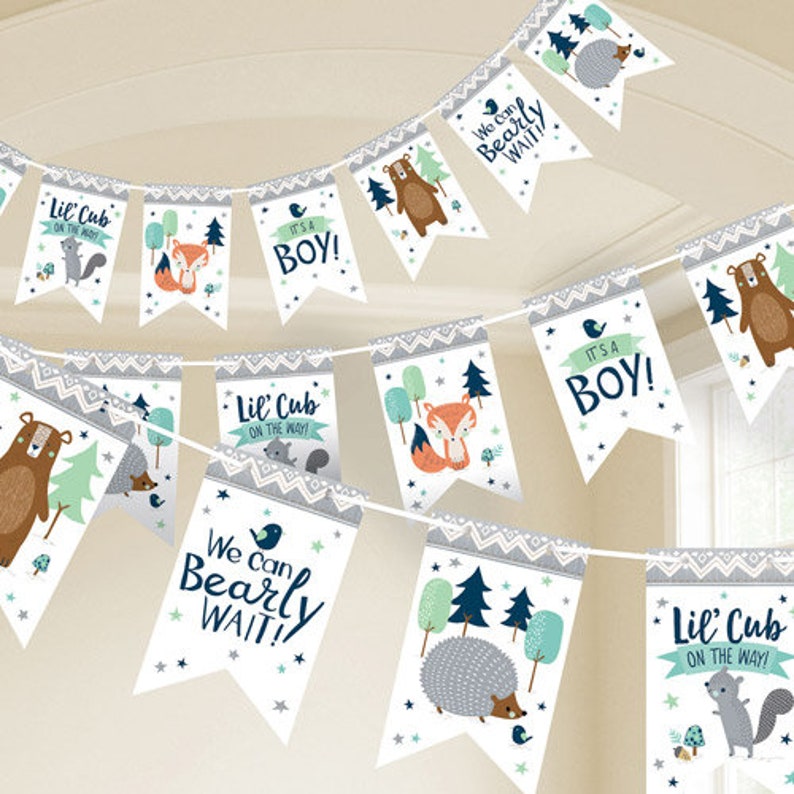 We Can Bearly Wait Bunting Bear Baby Shower Gender Reveal Image 0