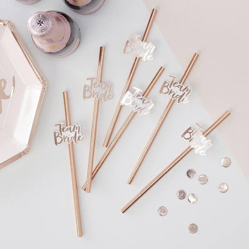 Rose Gold Straws Hen Party Straws Bachelorette Straws Party Straws 16 Pink and Rose Gold Team Bride Straws Hen Party Tablewear