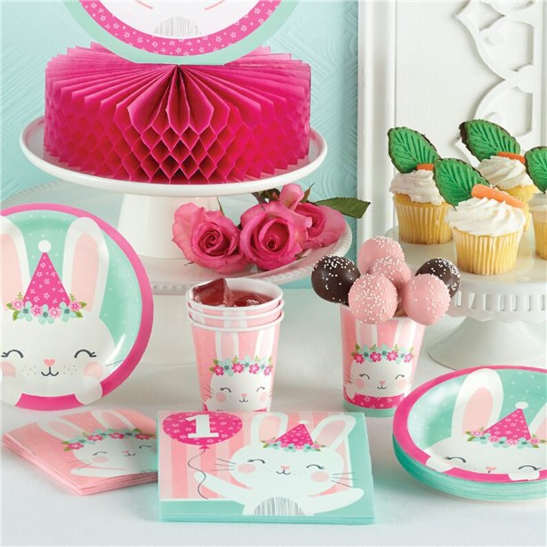 Bunny Rabbit Party Plates Bunny Plates 1st Birthday Party Etsy
