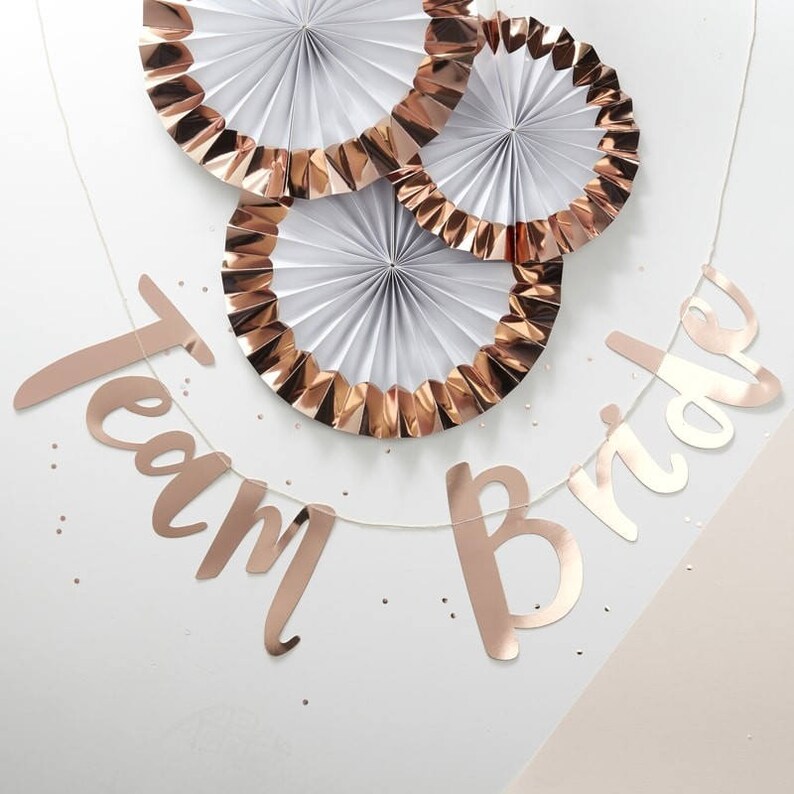 Rose Gold Straws Hen Party Straws Bachelorette Straws Party Straws 16 Pink and Rose Gold Team Bride Straws Hen Party Tablewear
