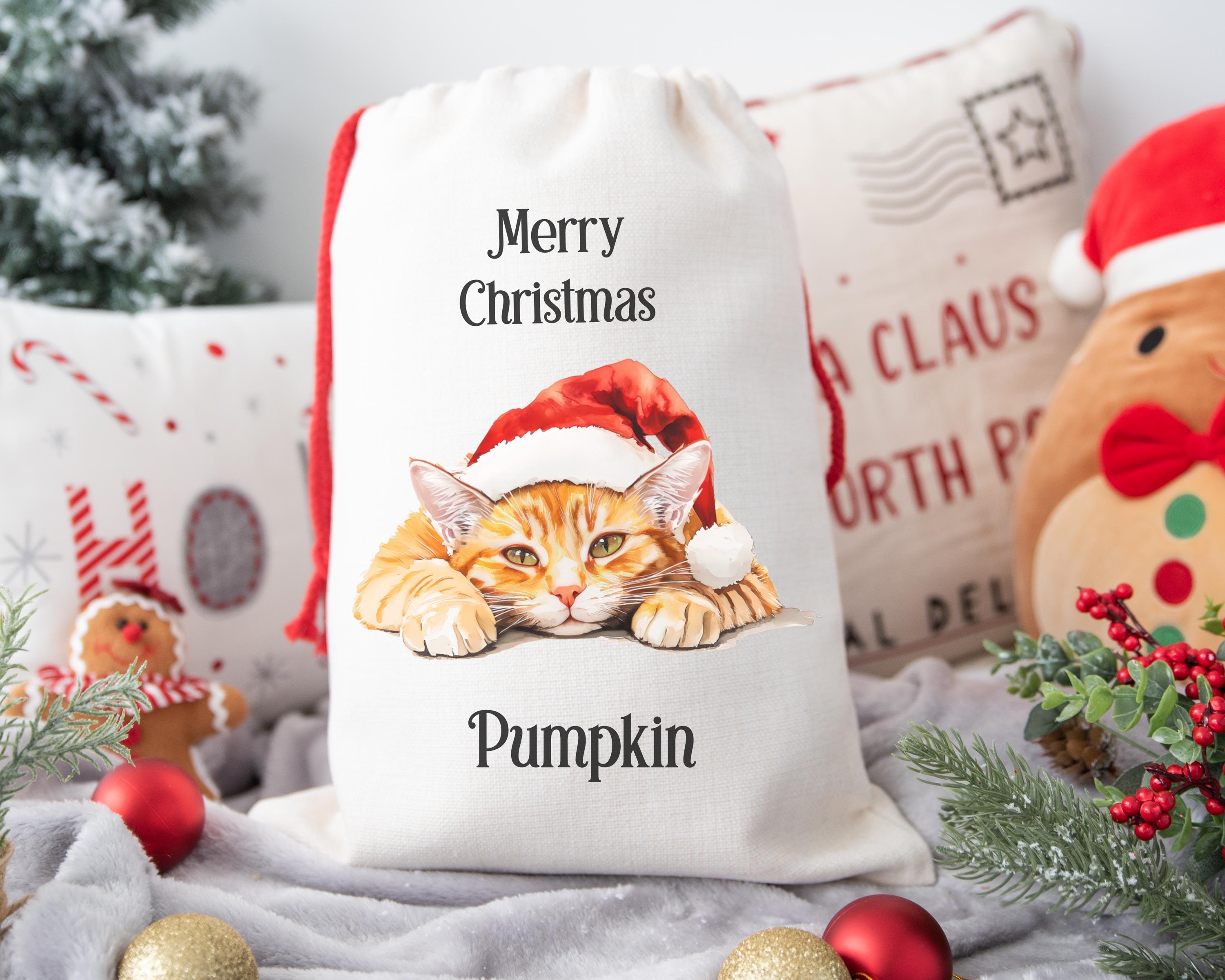 Personalised Cat Santa Sack, Christmas Present Sack, Christmas