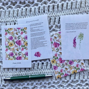 MINI Junho 2023 Kit de diário, avisos de diário, itens para impressão de planejador - pacote, cartões de diário, cartões de registro no diário, journalinghome