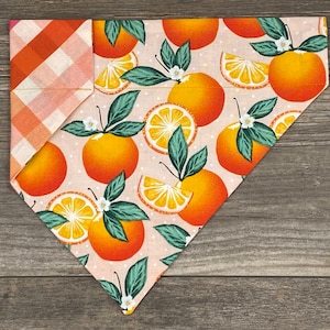 Summer Dog Bandana, Fruit Dog Bandana, Over The Collar, Oranges Bandana, Plaid Dog Bandana, Spring Dog Bandana, Reversible, Slides on Collar