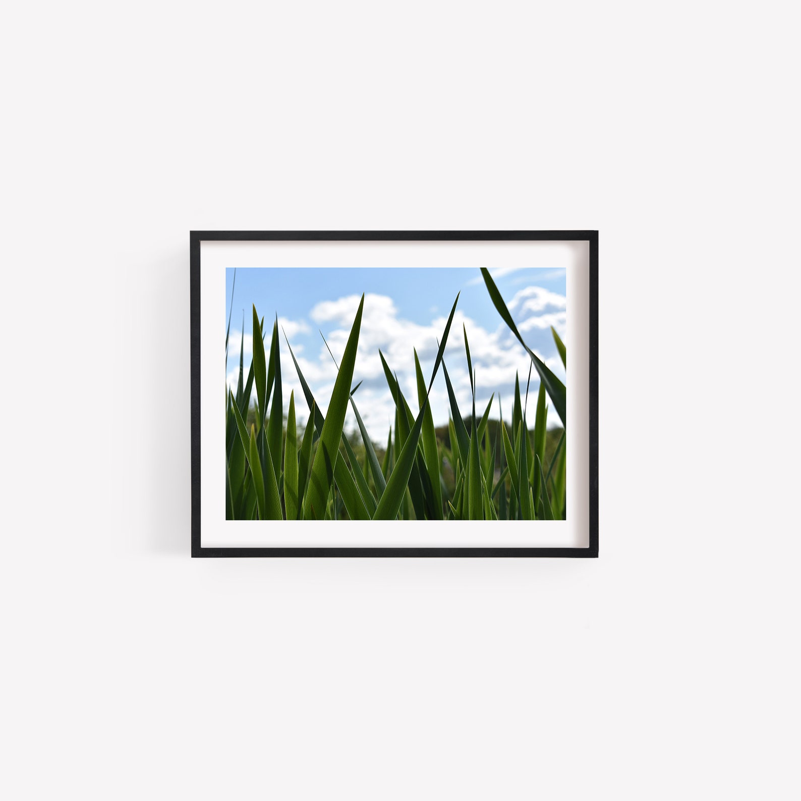Grass Wall Art Nature Printable Photo Digital Download Etsy