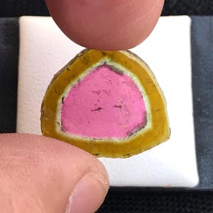 Watermelon Tourmaline Polished Slice, Gem Grade, Afghanistan Origin, 15.50 Carat