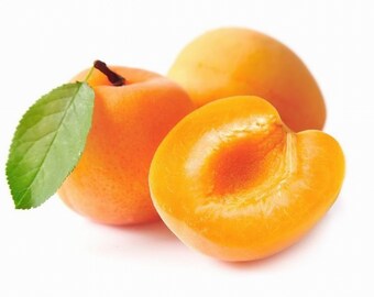 Chinese "Morman" Apricot Tree: Grafted