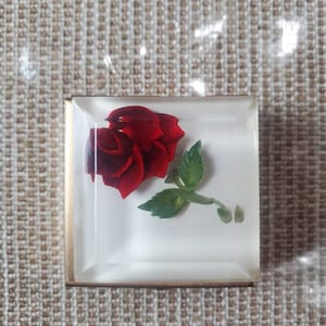 Vintage rose trinket box hand carved and colored by bircraft pill box ring box jewelry