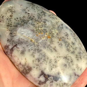 WHITE Dragon Dendritic OPAL image 3