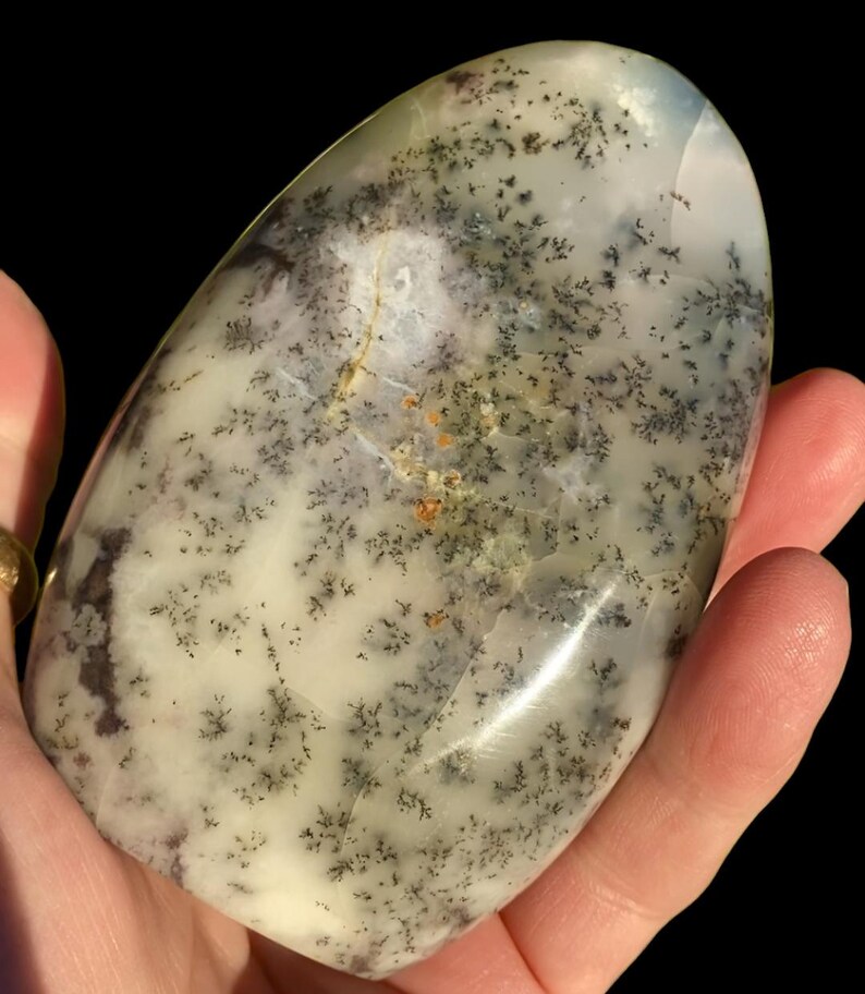 WHITE Dragon Dendritic OPAL image 8