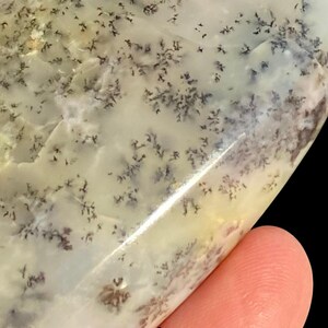 WHITE Dragon Dendritic OPAL image 10
