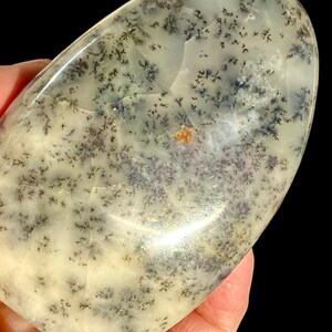 WHITE Dragon Dendritic OPAL image 5