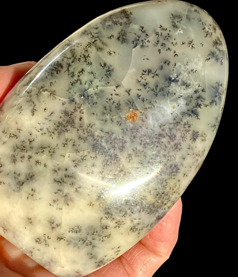 WHITE Dragon Dendritic OPAL image 5