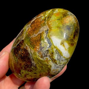 May include: A polished, oval-shaped stone featuring a vibrant mix of lime green, deep brown, and creamy white mineral inclusions. The surface displays a complex, mottled texture with translucent areas and distinct color variations throughout the rock.