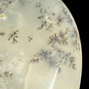 WHITE Dragon Dendritic OPAL image 6